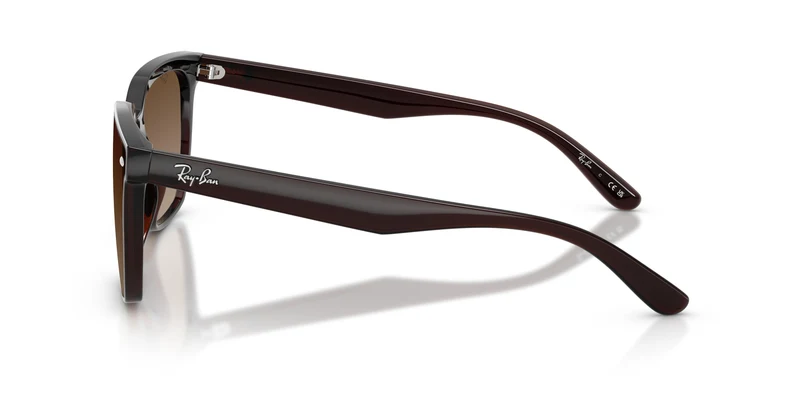 Ray-Ban RB4466D 714/13