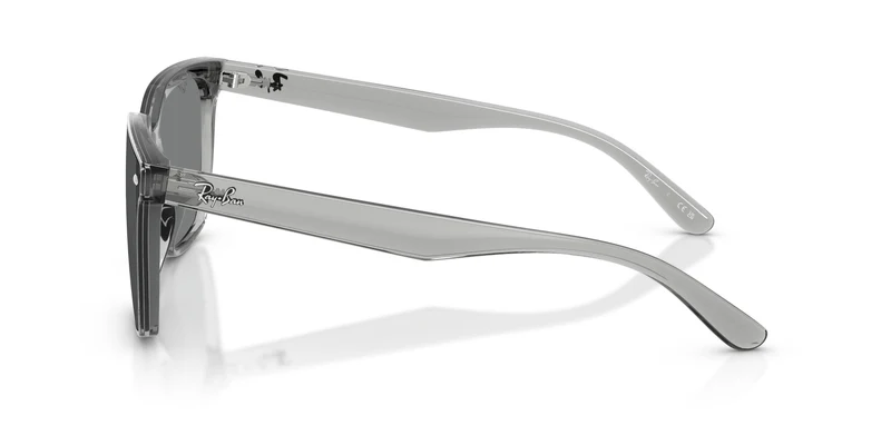 Ray-Ban RB4466D 645087