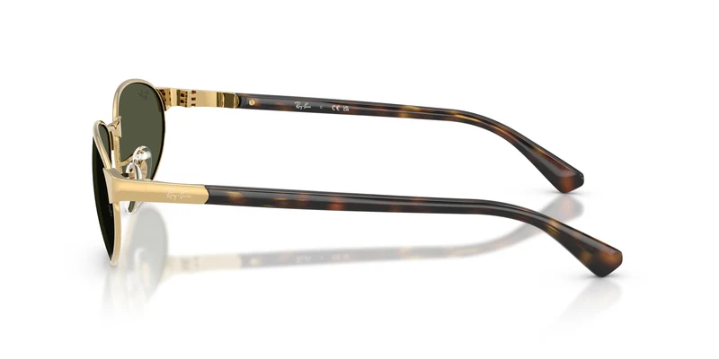 Ray-Ban RB3777 001/31 59