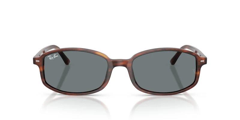 Ray-Ban RB2232 954/62 54