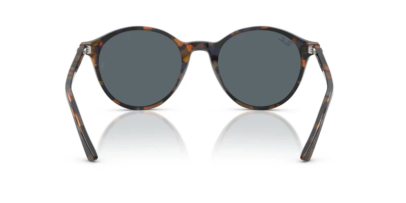 Ray-Ban RB2230 1356R5 53