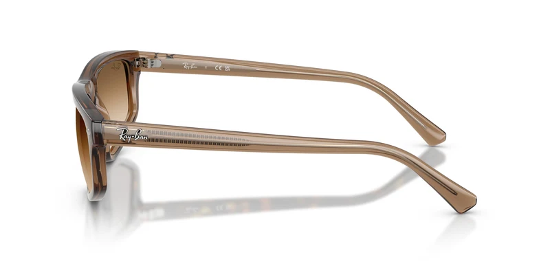 Ray-Ban RB2225 664051 59