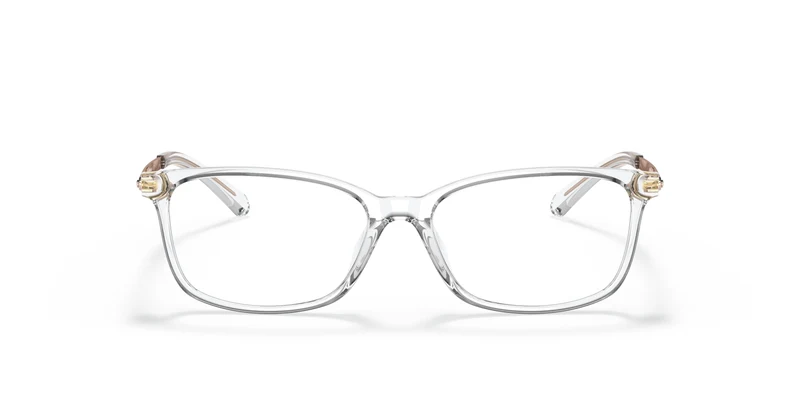 Michael Kors MK4060U TELLURIDE 3015 52