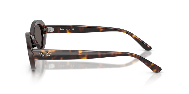 Ray-Ban RB2223 902/B1 54