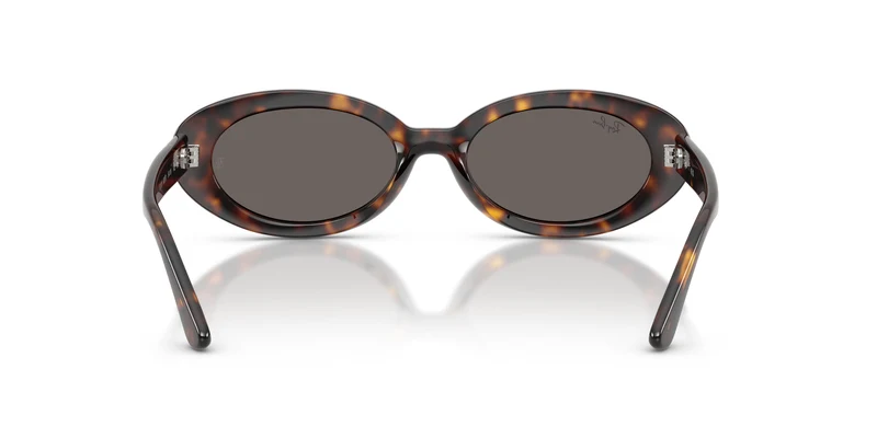 Ray-Ban RB2223 902/B1 54