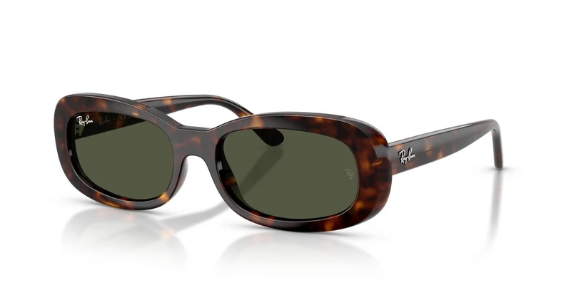 Ray-Ban RB2221 902/31 56