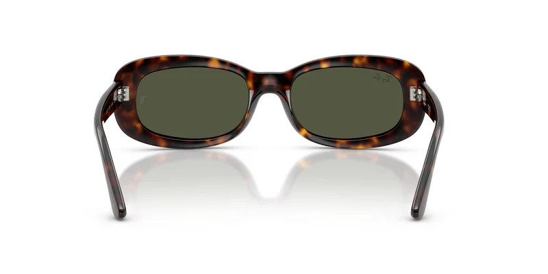 Ray-Ban RB2221 902/31 53