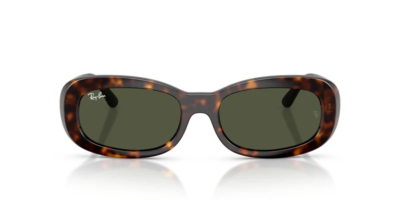 Ray-Ban RB2221 902/31 53