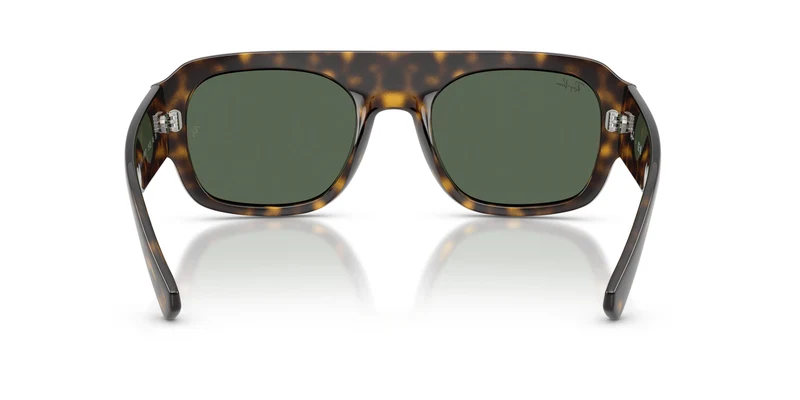 Ray-Ban RB2218 679071 55