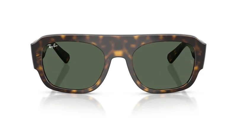 Ray-Ban RB2218 679071 55