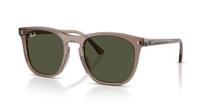 Ray-Ban RB2210 845731 53
