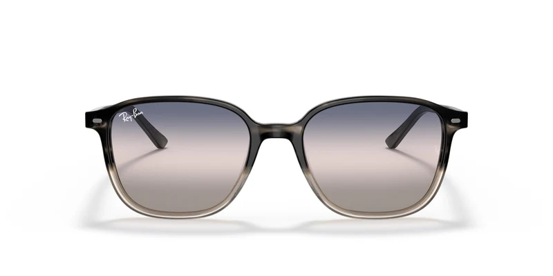 Ray-Ban RB2193 LEONARD 1326GE 53