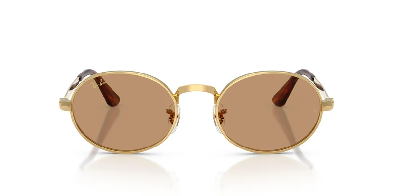Ray-Ban RB3931 001/53 54