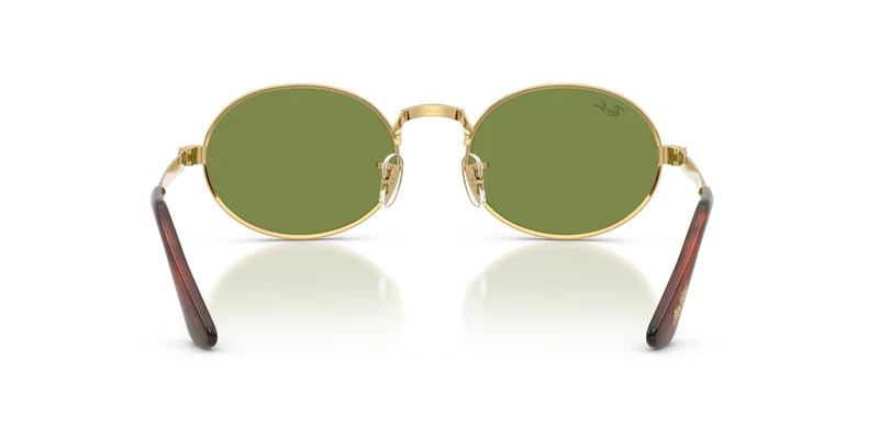 Ray-Ban RB3931 001/4E 54