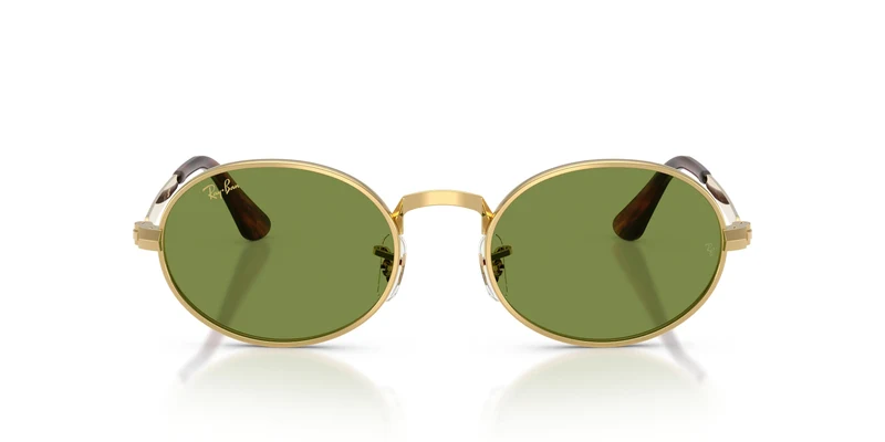 Ray-Ban RB3931 001/4E 54