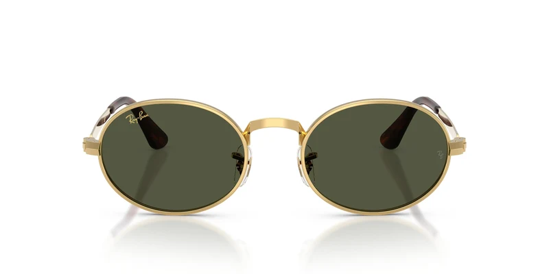 Ray-Ban RB3931 001/31 54