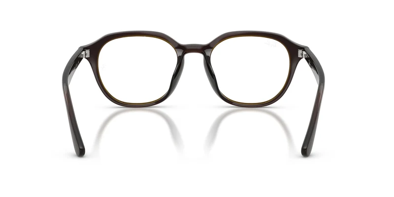 Ray-Ban RX7259D 8502 52