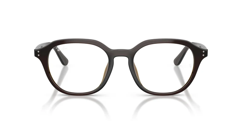 Ray-Ban RX7259D 8502 52