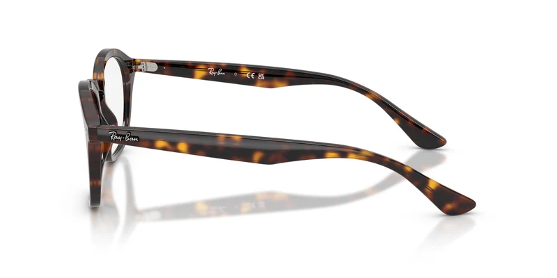 Ray-Ban RX5451 2012 50
