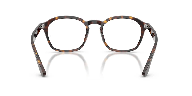 Ray-Ban RX5451 2012 52