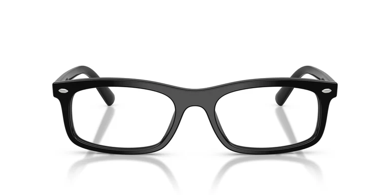Ray-Ban RX5450 2000 54