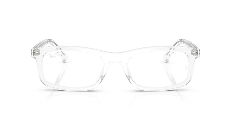 Ray-Ban RX5450 2001 56