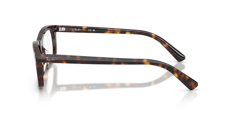 Ray-Ban RX5450 2012 54