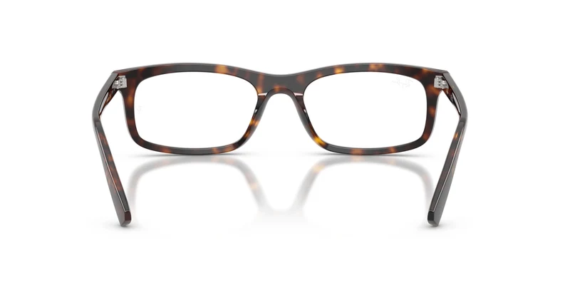 Ray-Ban RX5450 2012 54