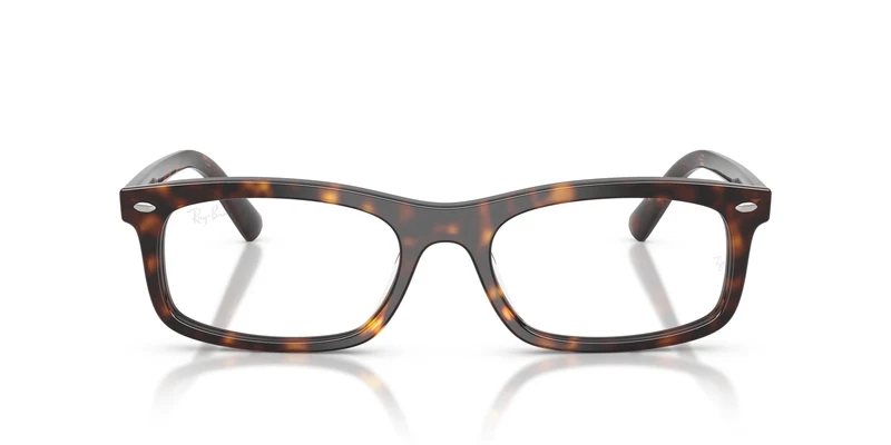 Ray-Ban RX5450 2012 54