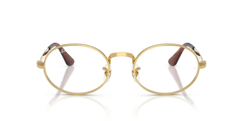 Ray-Ban RX3931V 2500 52