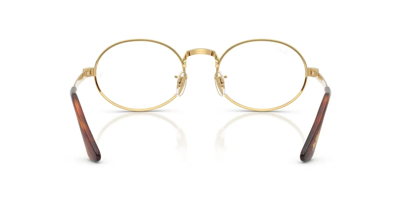 Ray-Ban RX3931V 2500 54