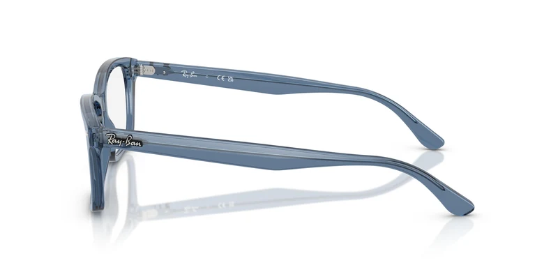 Ray-Ban RX5428 8223 55