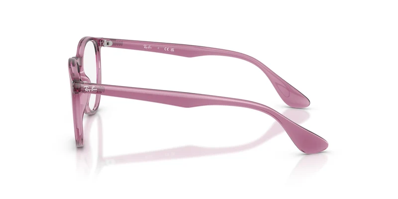 Ray-Ban RX7046 ERIKA 8509 51