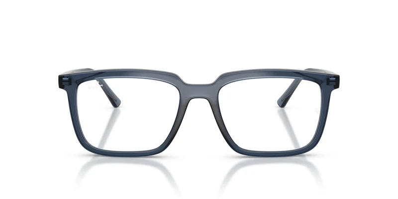 Ray-Ban RX7239 ALAIN 8223 54