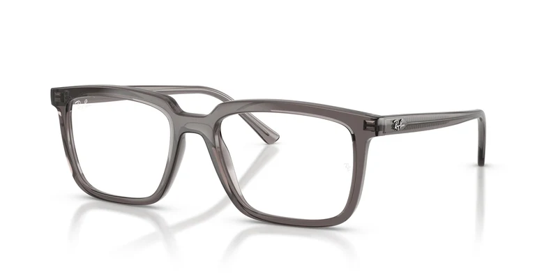 Ray-Ban RX7239 ALAIN 8506 52