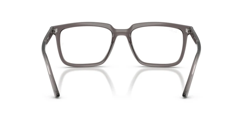 Ray-Ban RX7239 ALAIN 8506 52