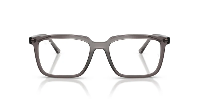 Ray-Ban RX7239 ALAIN 8506 54