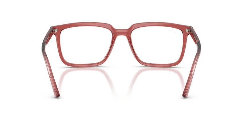Ray-Ban RX7239 ALAIN 8510 52