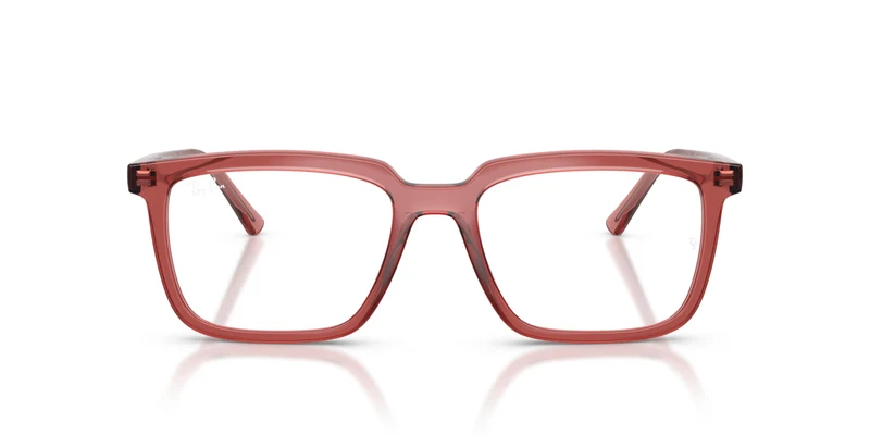 Ray-Ban RX7239 ALAIN 8510 52