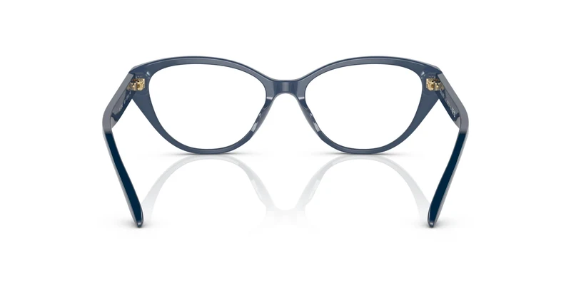 Ralph Lauren RL6228U 5377 53