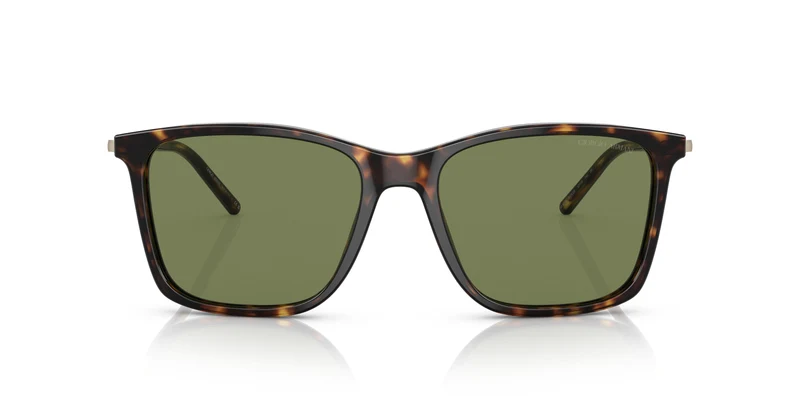 Giorgio Armani AR8176 50262A 57