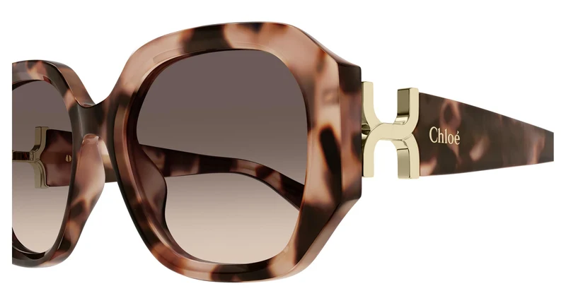 Chloé CH0236S 005 56