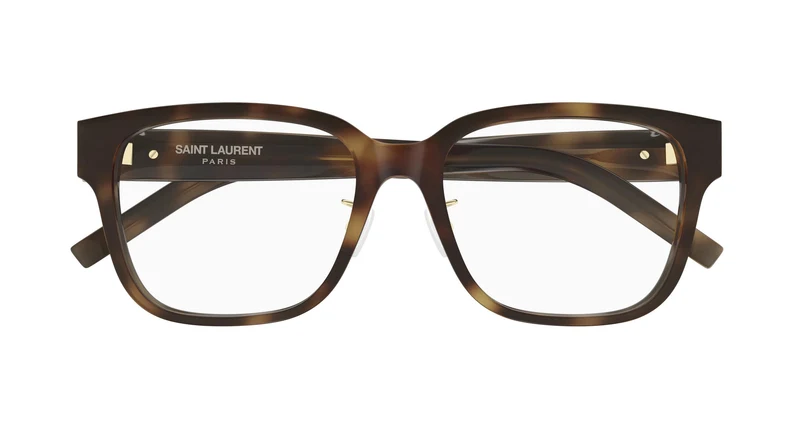Saint Laurent SL M165/F 003 54