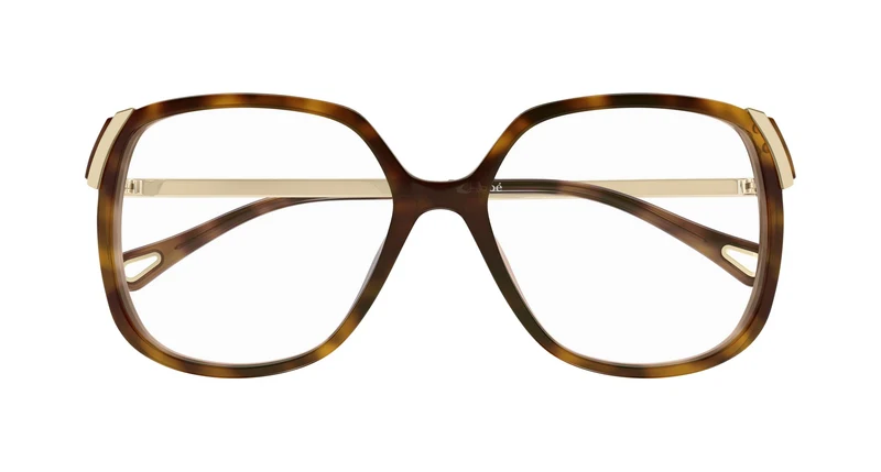 Chloé CH0287O 007 54
