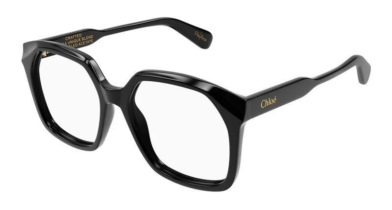 Chloé CH0263O 008 53