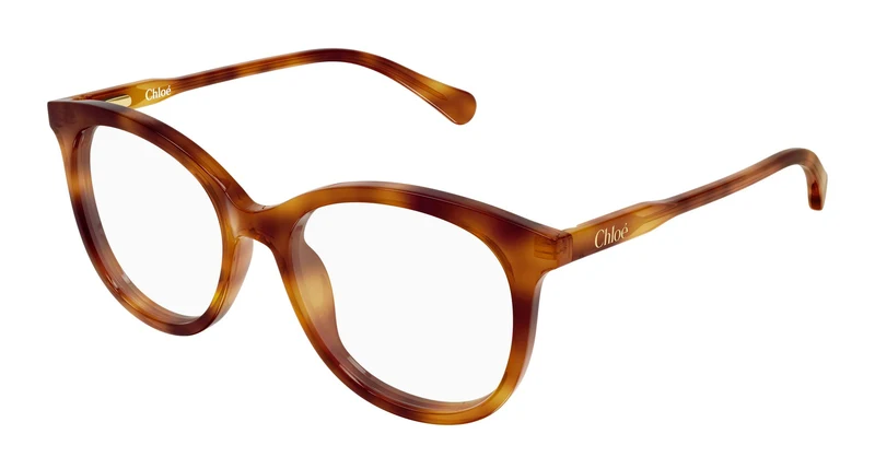 Chloé CC0028O 003 48