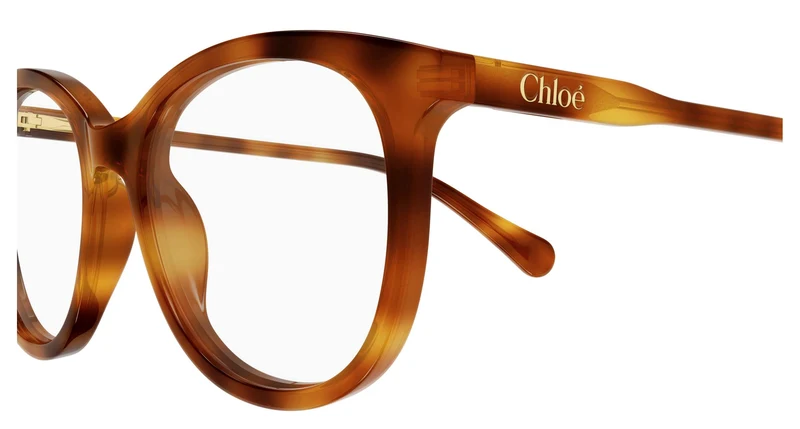 Chloé CC0028O 003 48