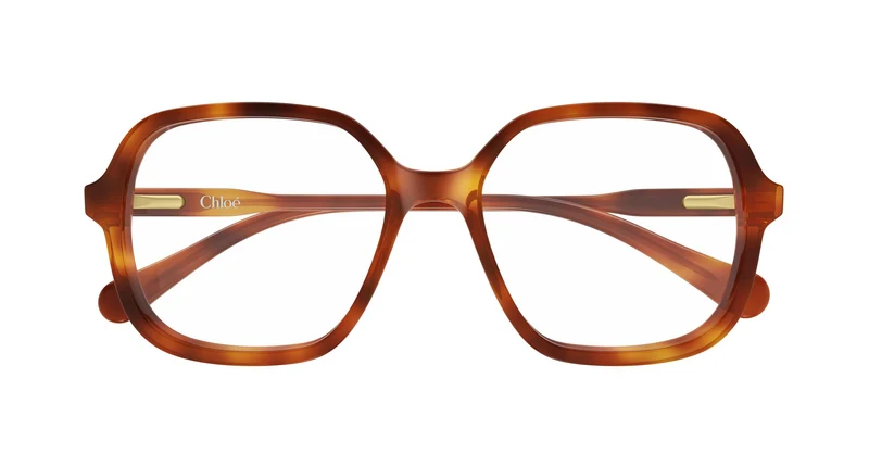 Chloé CC0027O 003 49