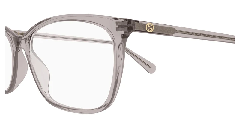 Gucci GG1930O 006 55