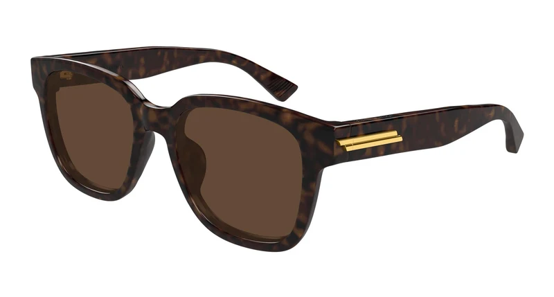 Bottega Veneta BV1461SK 002 54